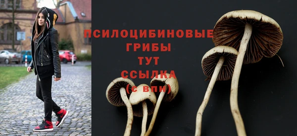 apvp Аркадак