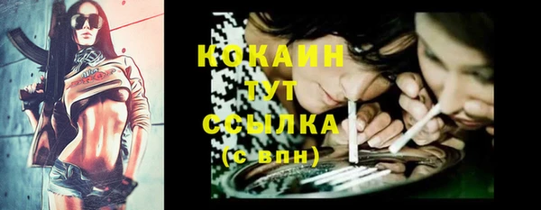 не бодяженный Арсеньев