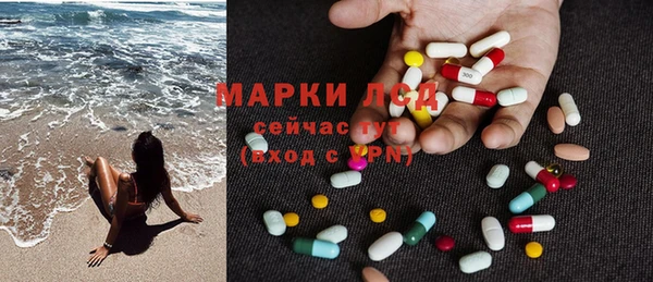apvp Аркадак