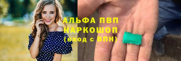 apvp Аркадак
