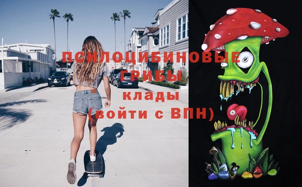apvp Аркадак