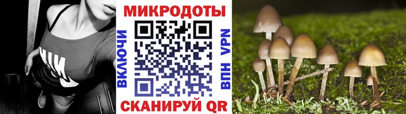 ссылка на мегу онион закладка Спас-Деменск дарк нет состав Галлюциногенные грибы мухоморы
