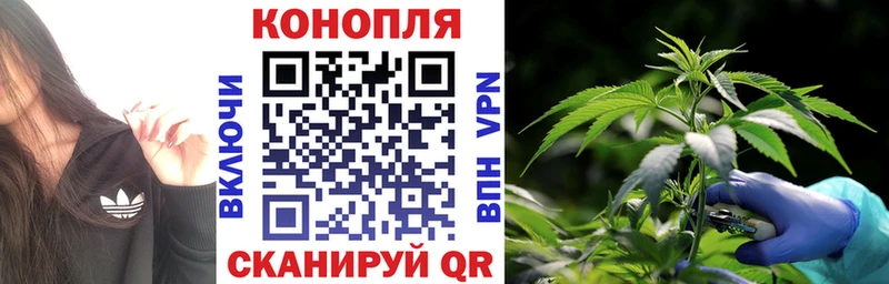 Канабис план  закладки  Спас-Деменск 